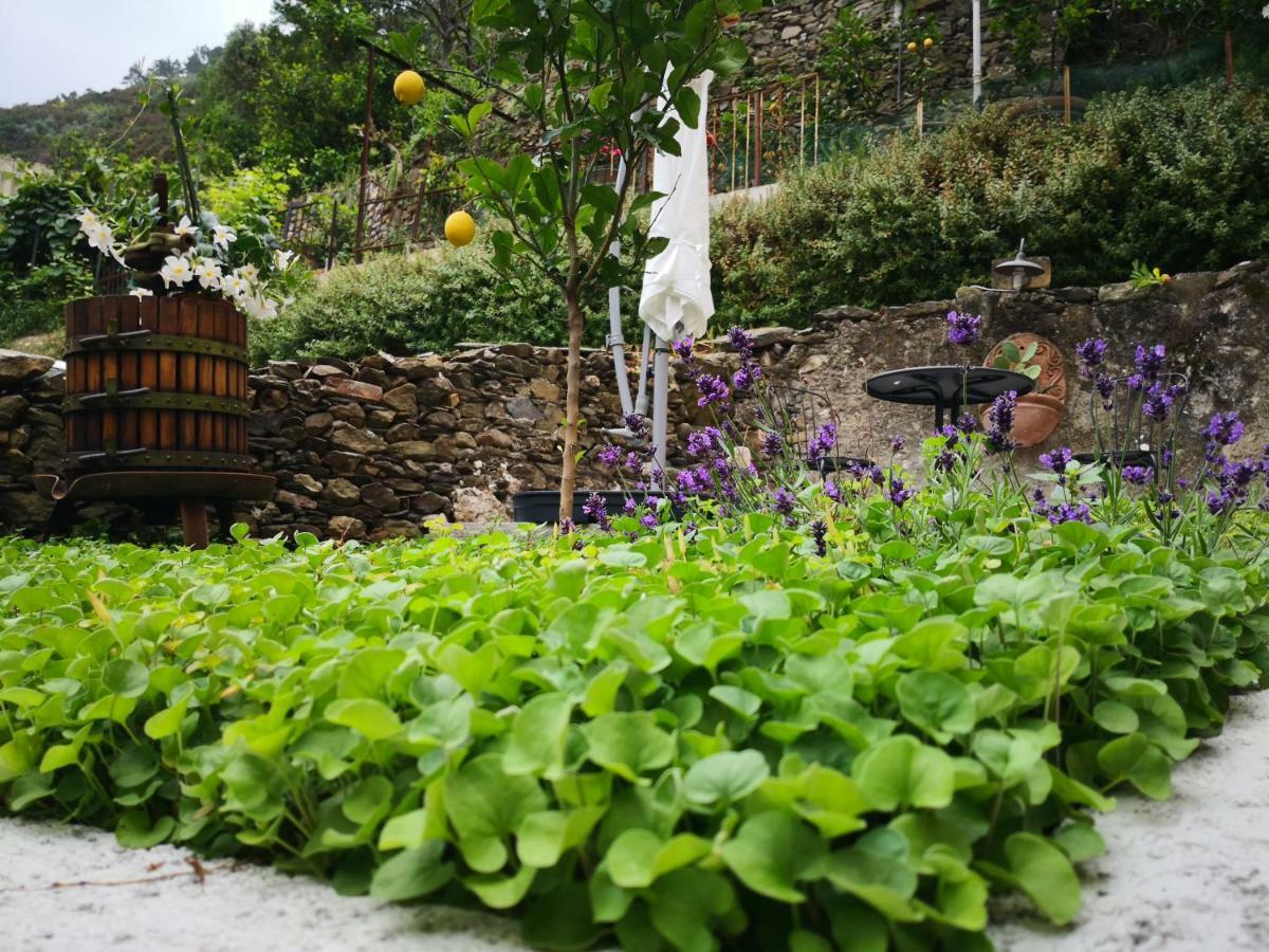 Il Giardino Di 리오마기오레 외부 사진